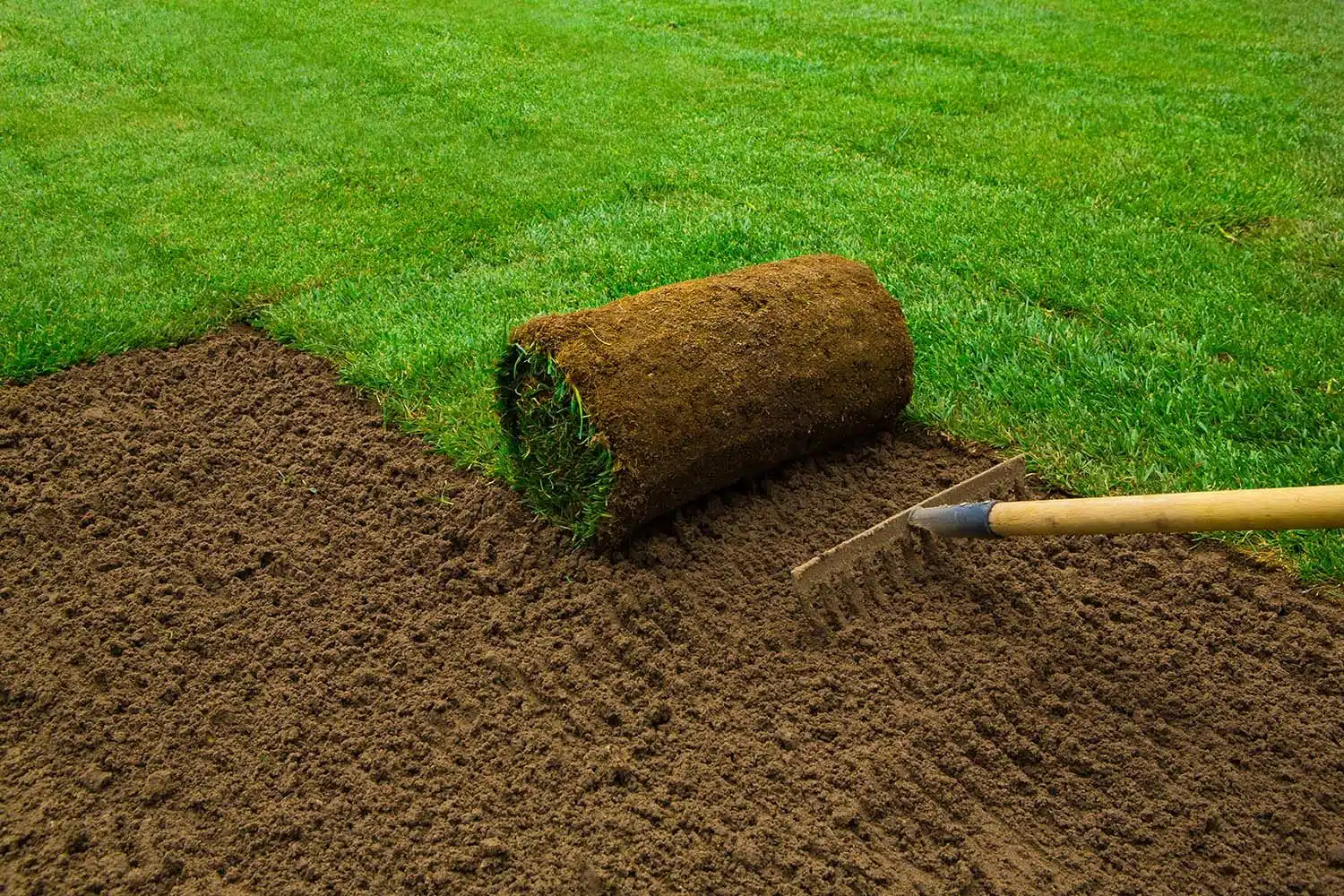 installer un nouveau gazon