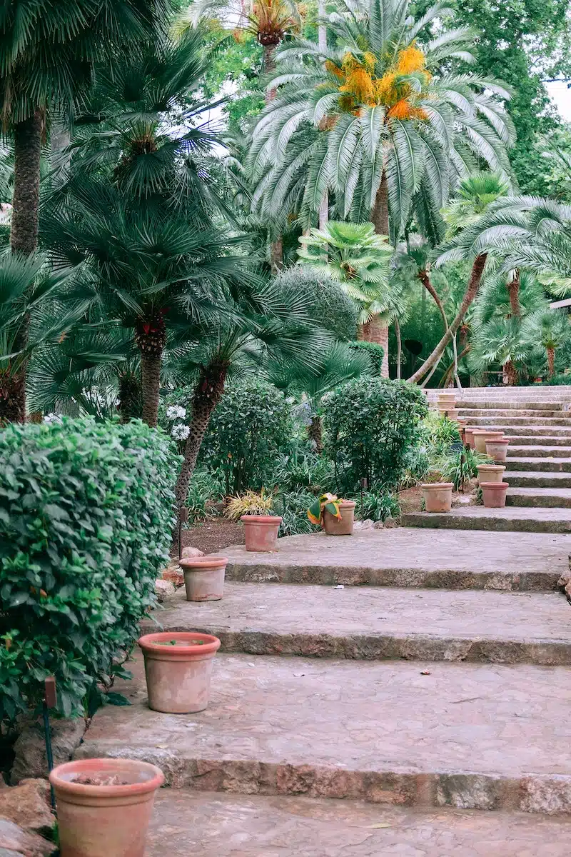 Les dernières tendances en matière de jardinage