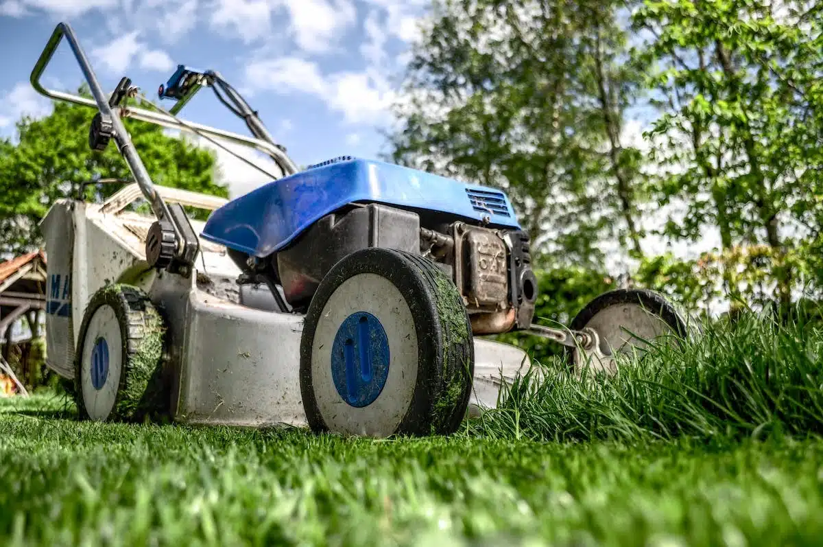 Préparation saisonnière du gazon : adoption des meilleures pratiques pour un gazon vert tout au long de l’année