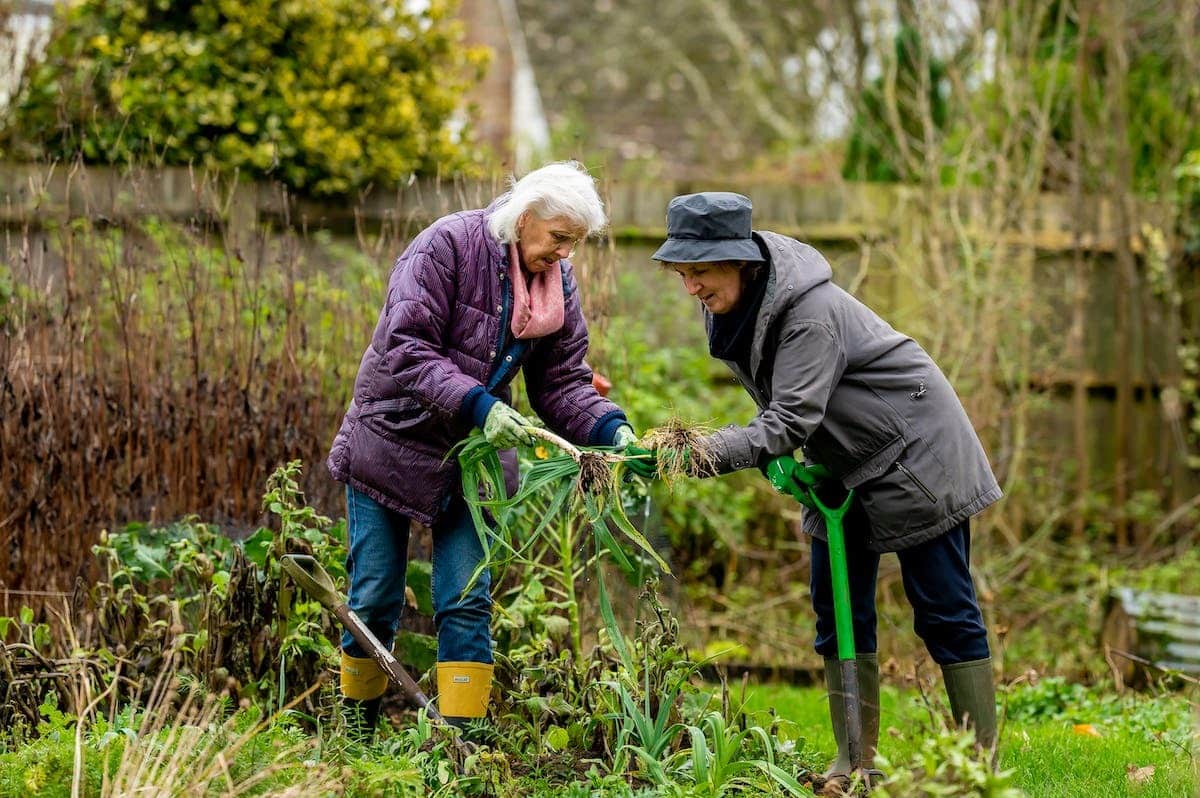 Prévenir et appréhender la solitude chez les seniors grâce au jardinage : conseils et techniques simples