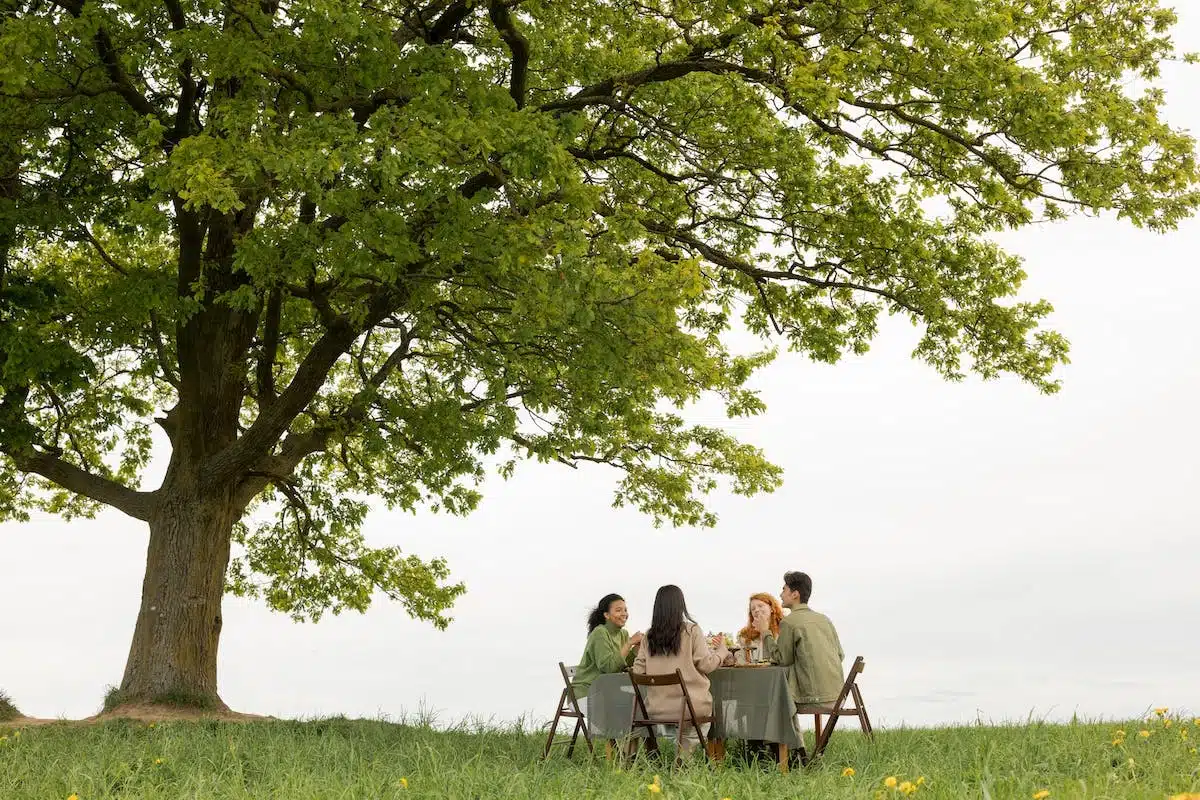 Rachat de crédit en jardinage : exploration des avantages et inconvénients notables