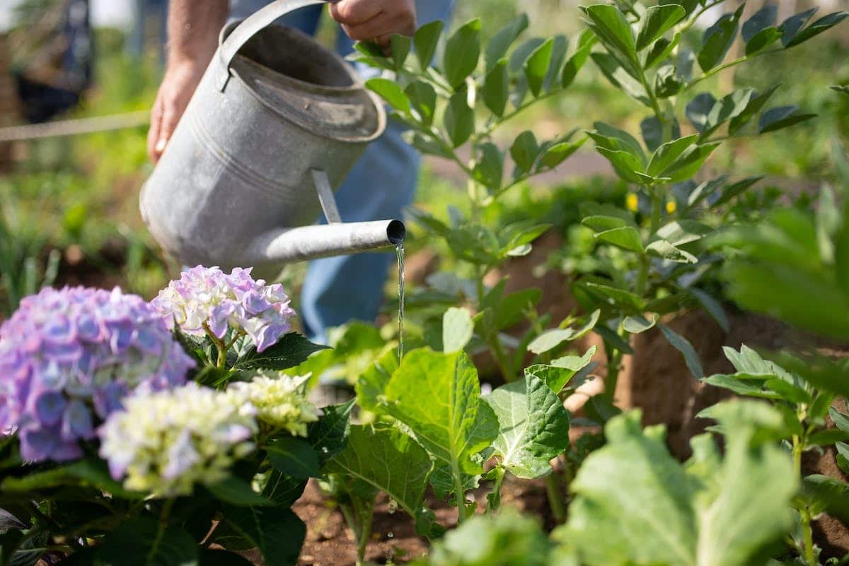 crédit jardinage