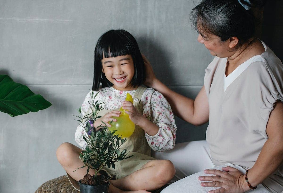 Recettes de grand-mère pour le jardin : l’art ancestral de la sagesse familiale révélé