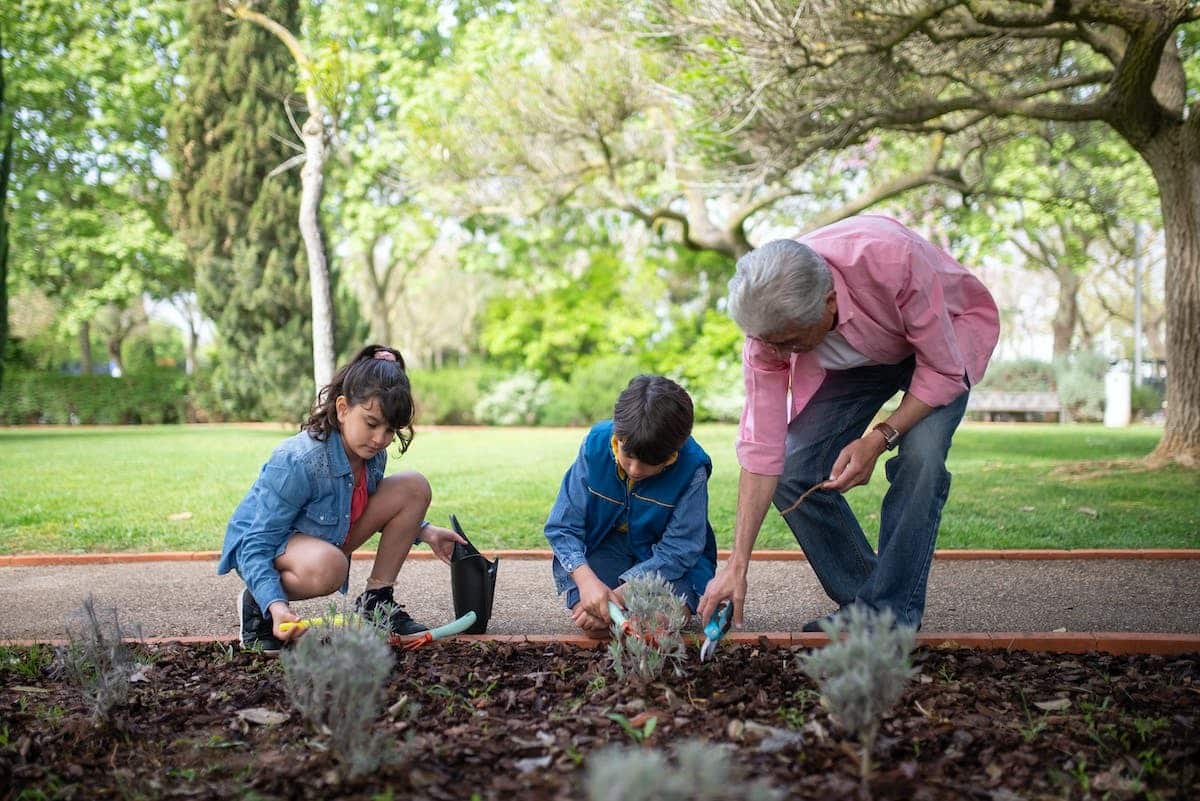 grand-mère  jardinage