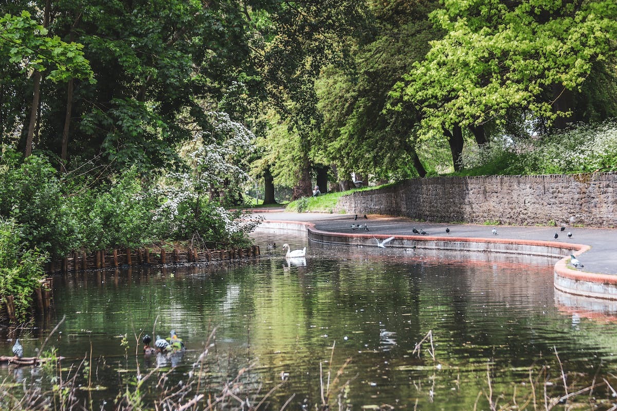Promouvoir la biodiversité dans nos jardins : enjeux et stratégies écologiques efficaces