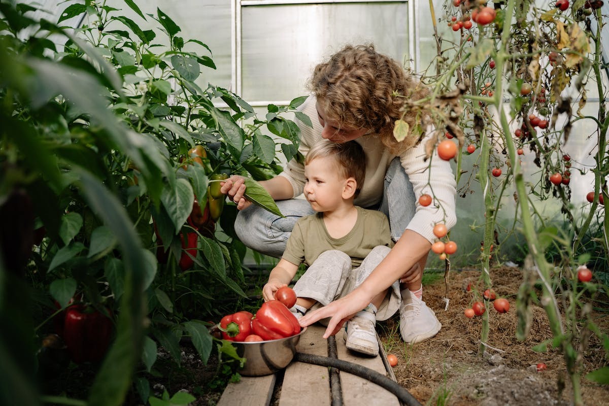 Priorité aux entreprises éco-responsables : l’importance du développement durable dans le monde du jardinage