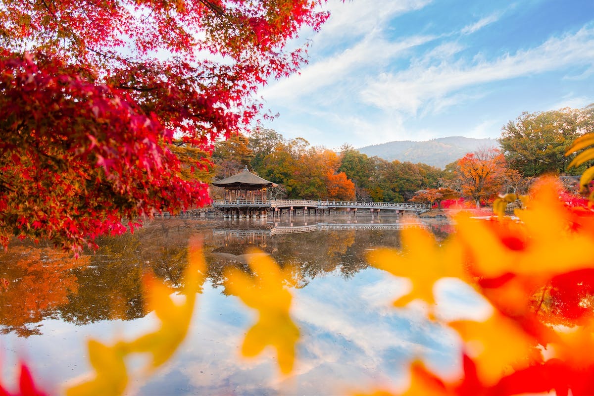 jardin automne