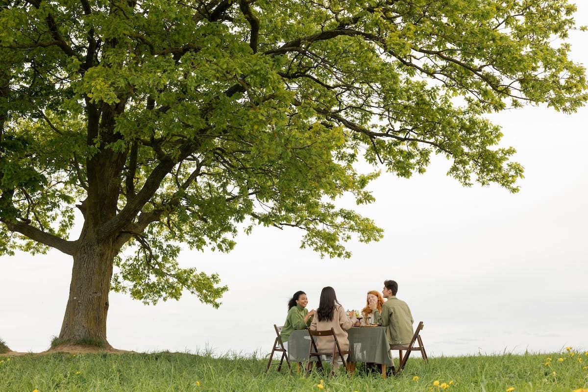Démystifier le fonctionnement du crédit à la consommation pour les passionnés de jardinage