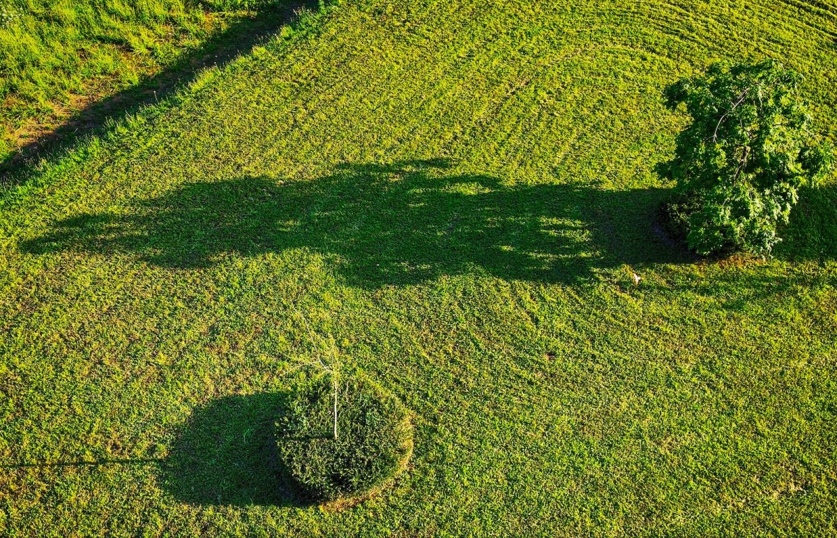 green grass field during daytime