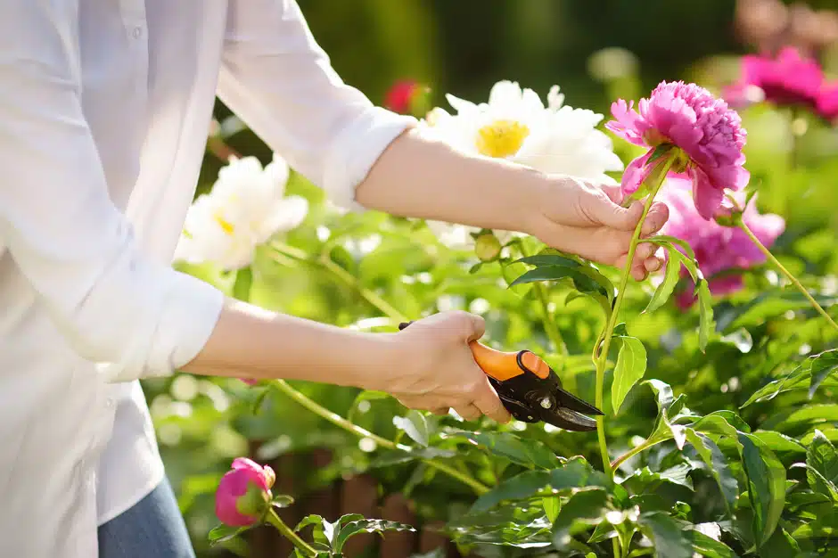 Comment faire un jardin de fleurs fraîches