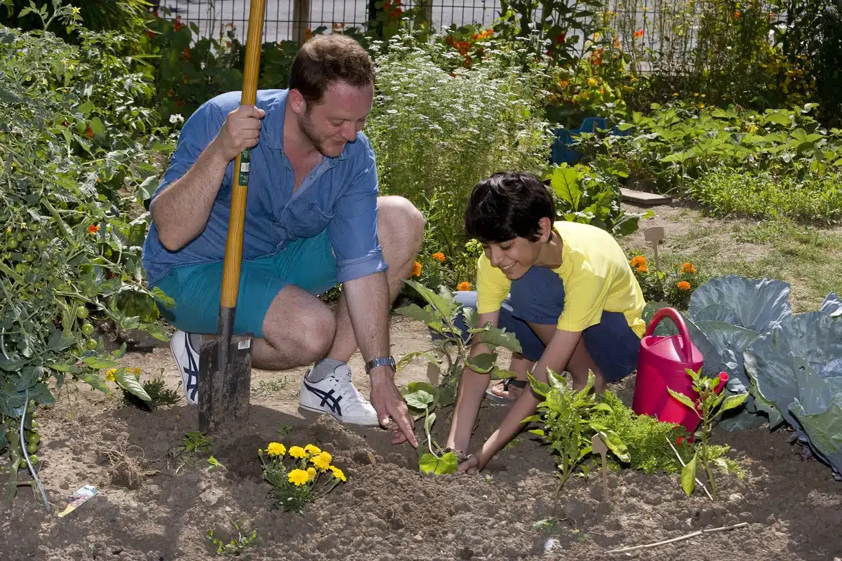 Comment planter et entretenir un jardin potager