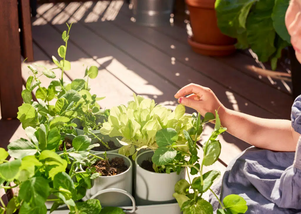 Les avantages et les inconvénients des différentes méthodes de jardinage