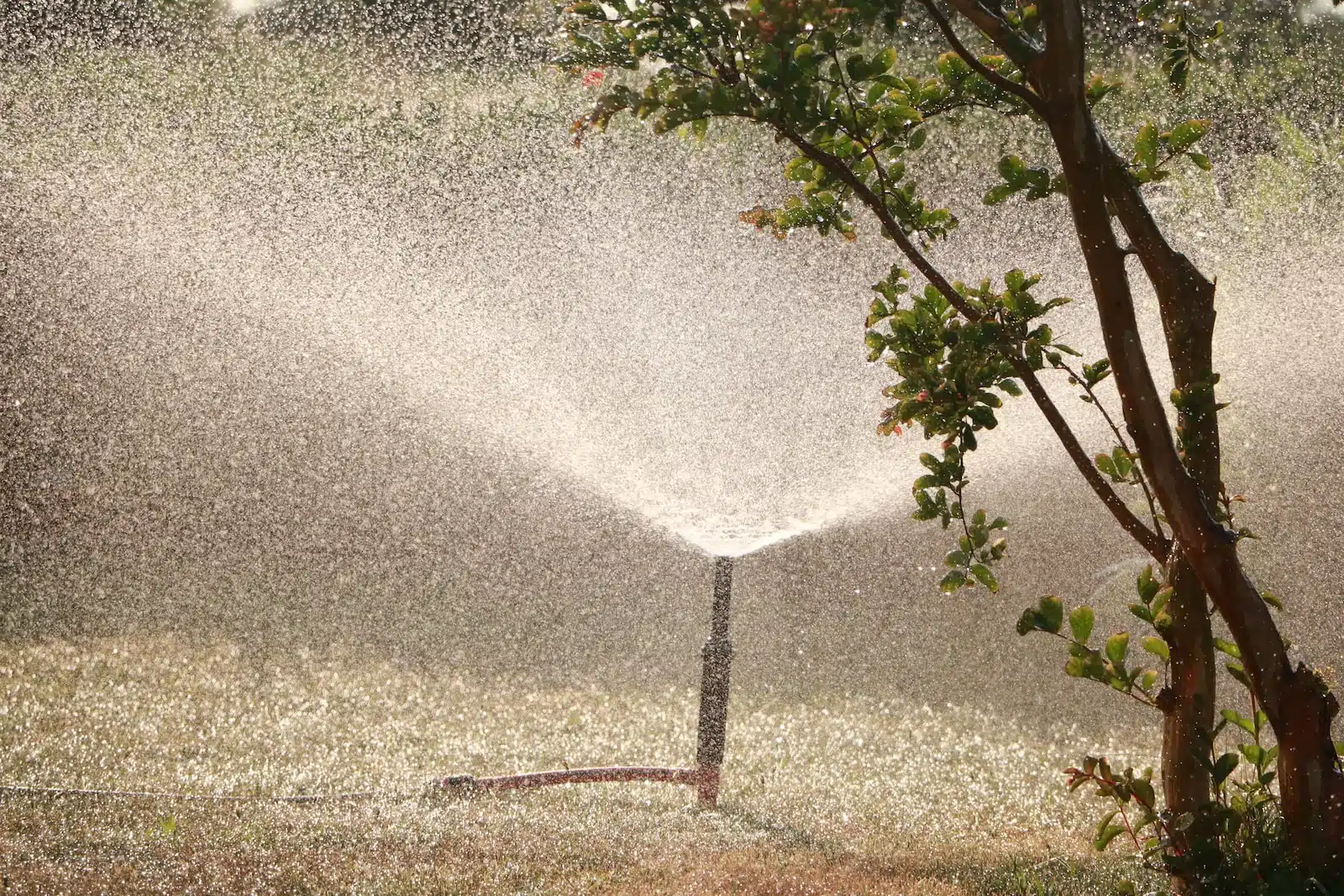 Comment choisir un arrosage automatique pour votre jardin