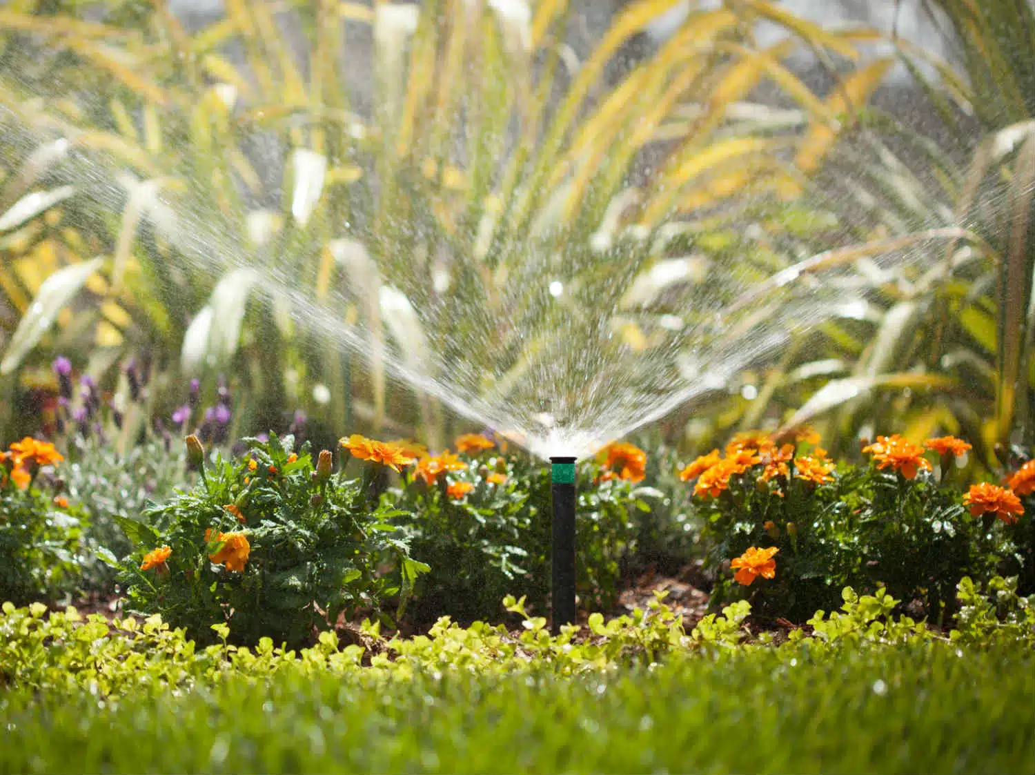 Les différents systèmes d’arrosage pour le jardin