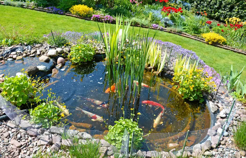 Comment construire des bassins de jardin
