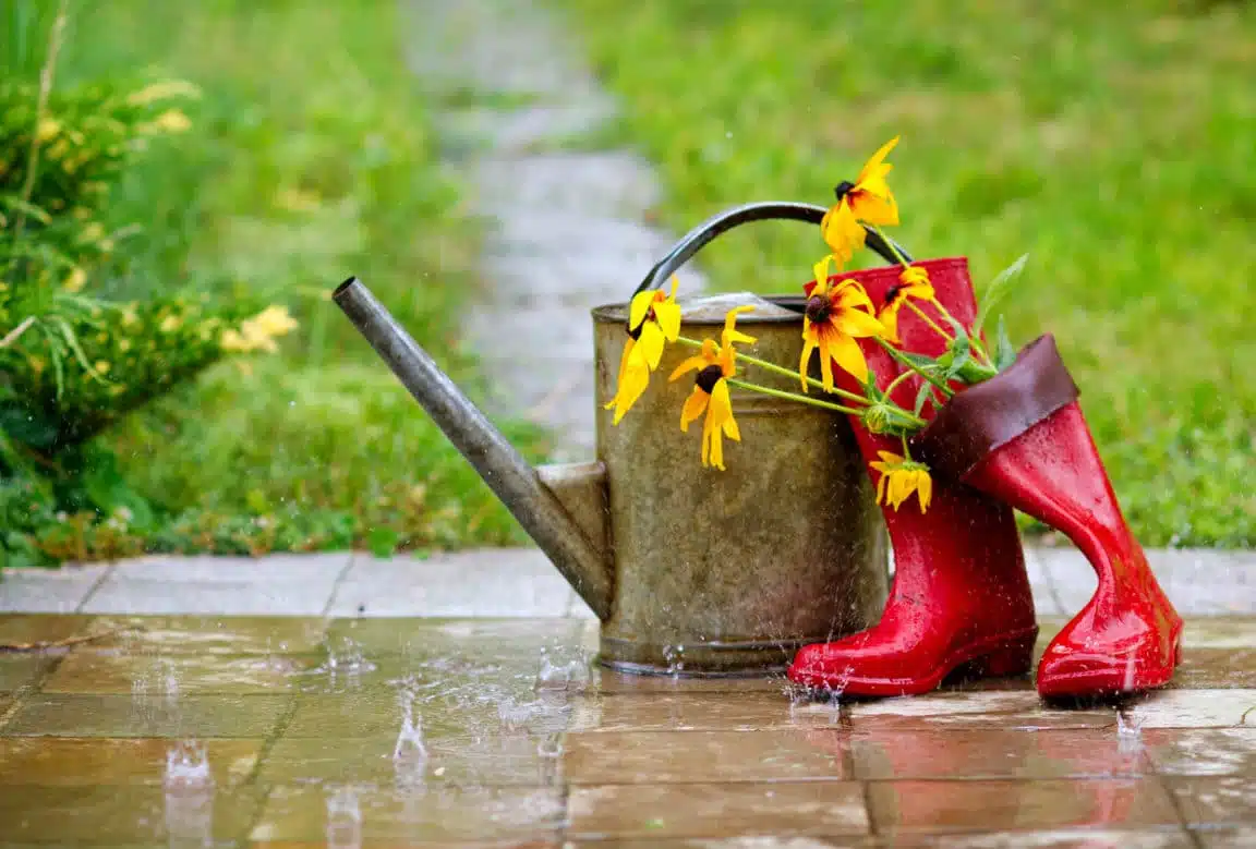 La mode de jardinage pendant la saison des pluies
