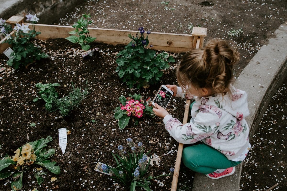 Comment préparer votre potager pour l’hiver