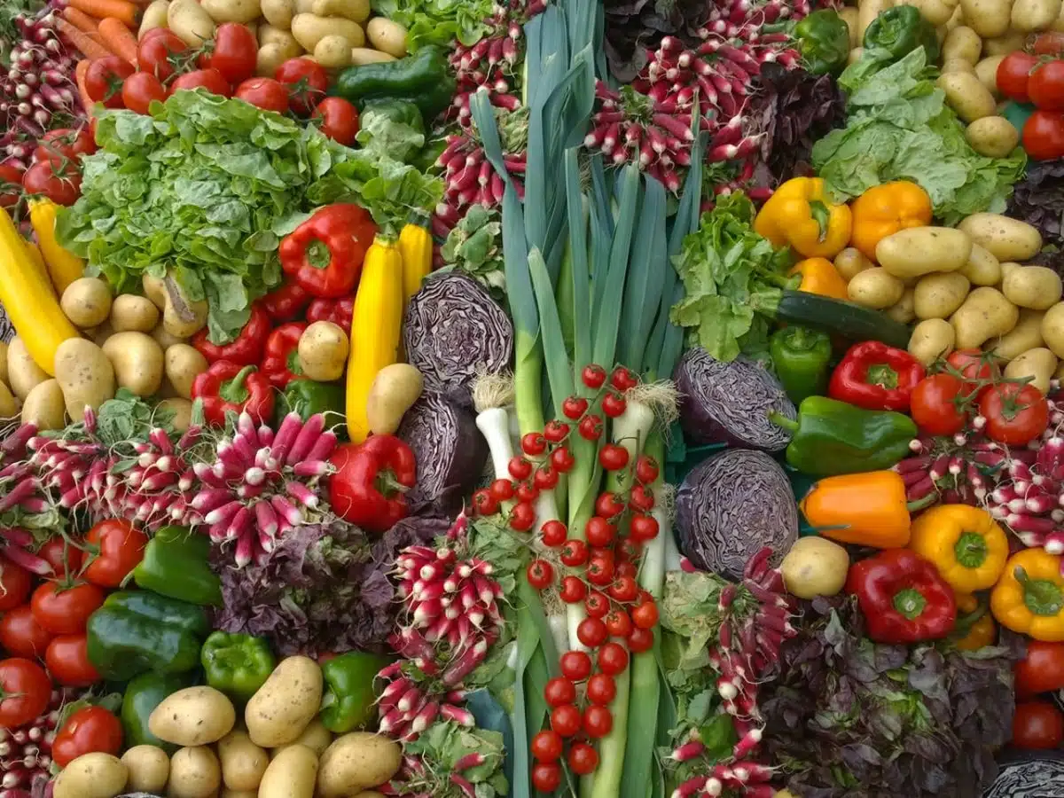 10 plantes à cultiver pour obtenir des fruits abondants