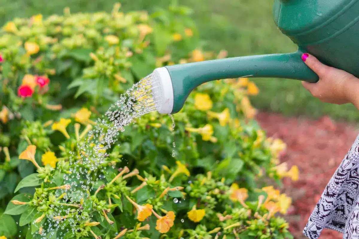 Les 10 meilleurs outils de jardinage