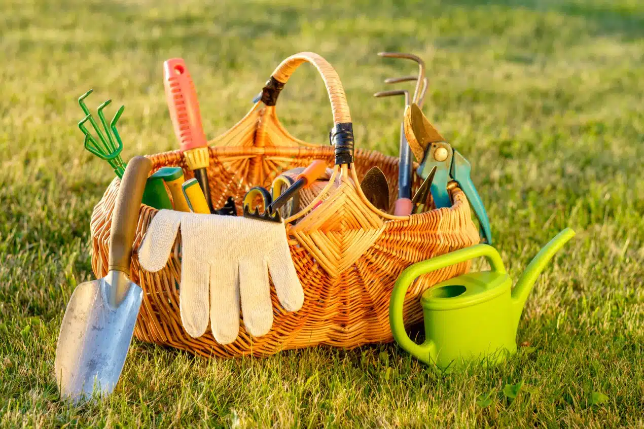 Les 10 meilleurs outils de jardinage pour débutants