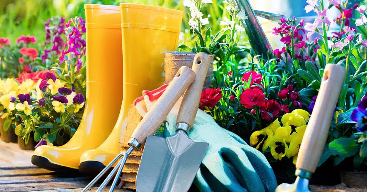 Quels outils utiliser pour le jardinage des fleurs