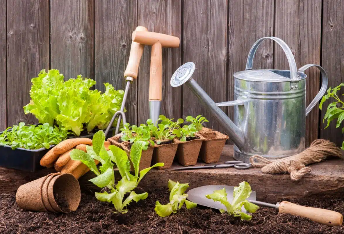 outils pour votre potager 