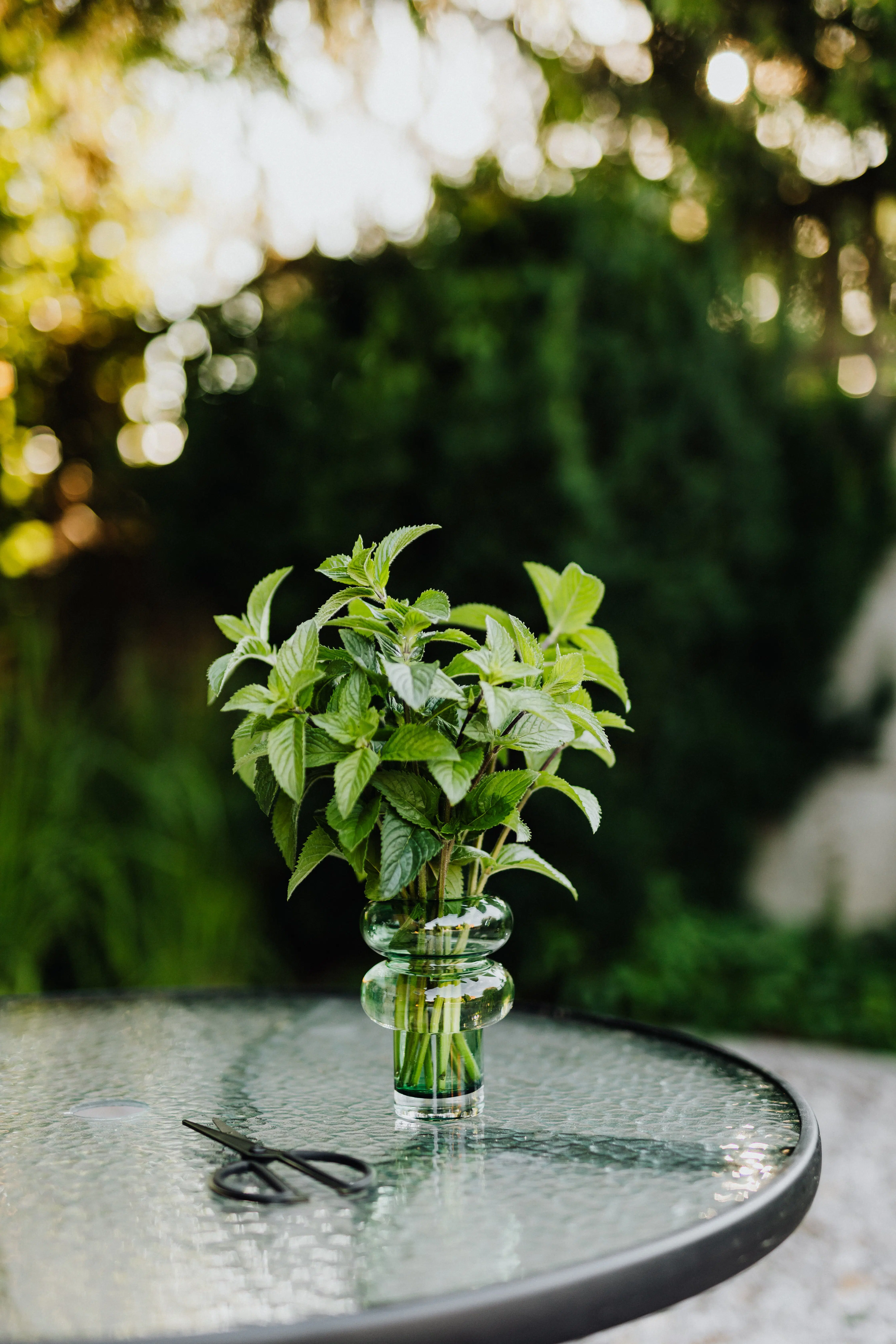 Comment protéger une table en verre de jardin ?