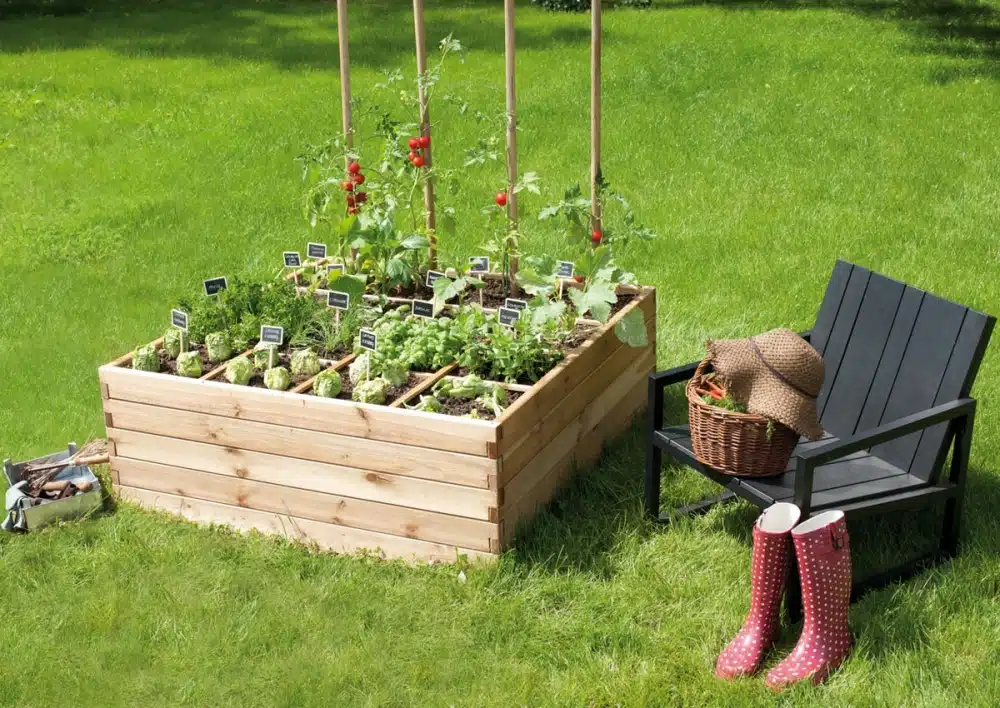 Conseils pour démarrer votre potager